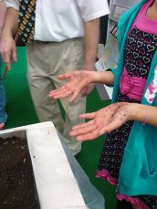 217650_2049490876726_5552702_n